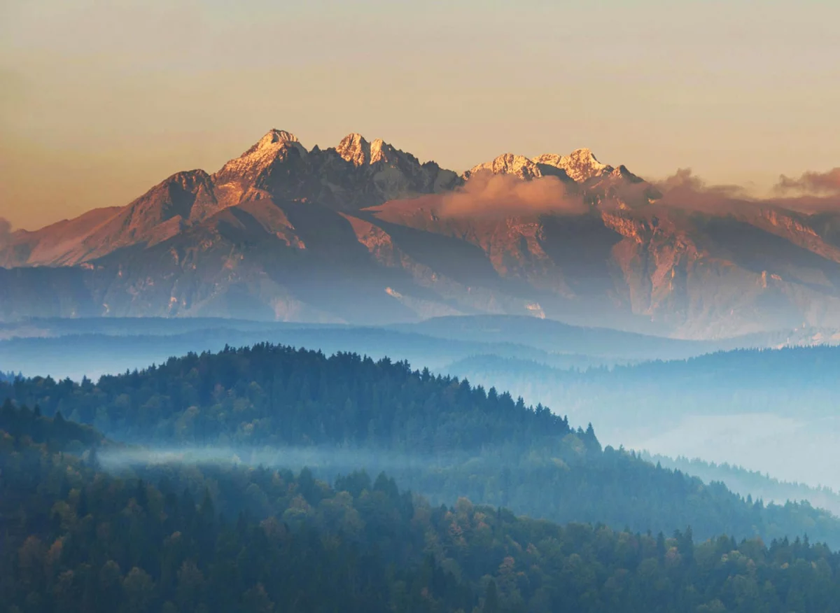 10 Pomysłów Aby obsłużyć esg w firmie