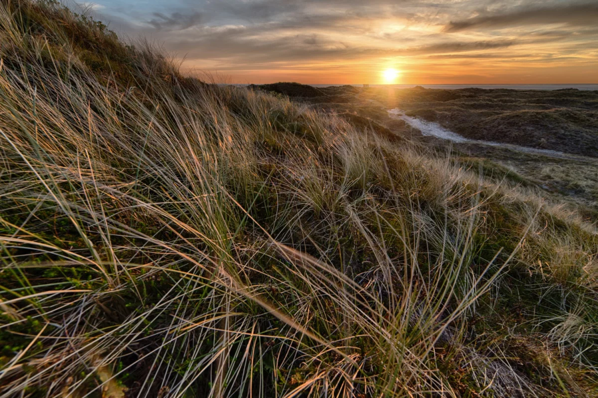 Czy w 2025 dasz radę raportować do ESG?